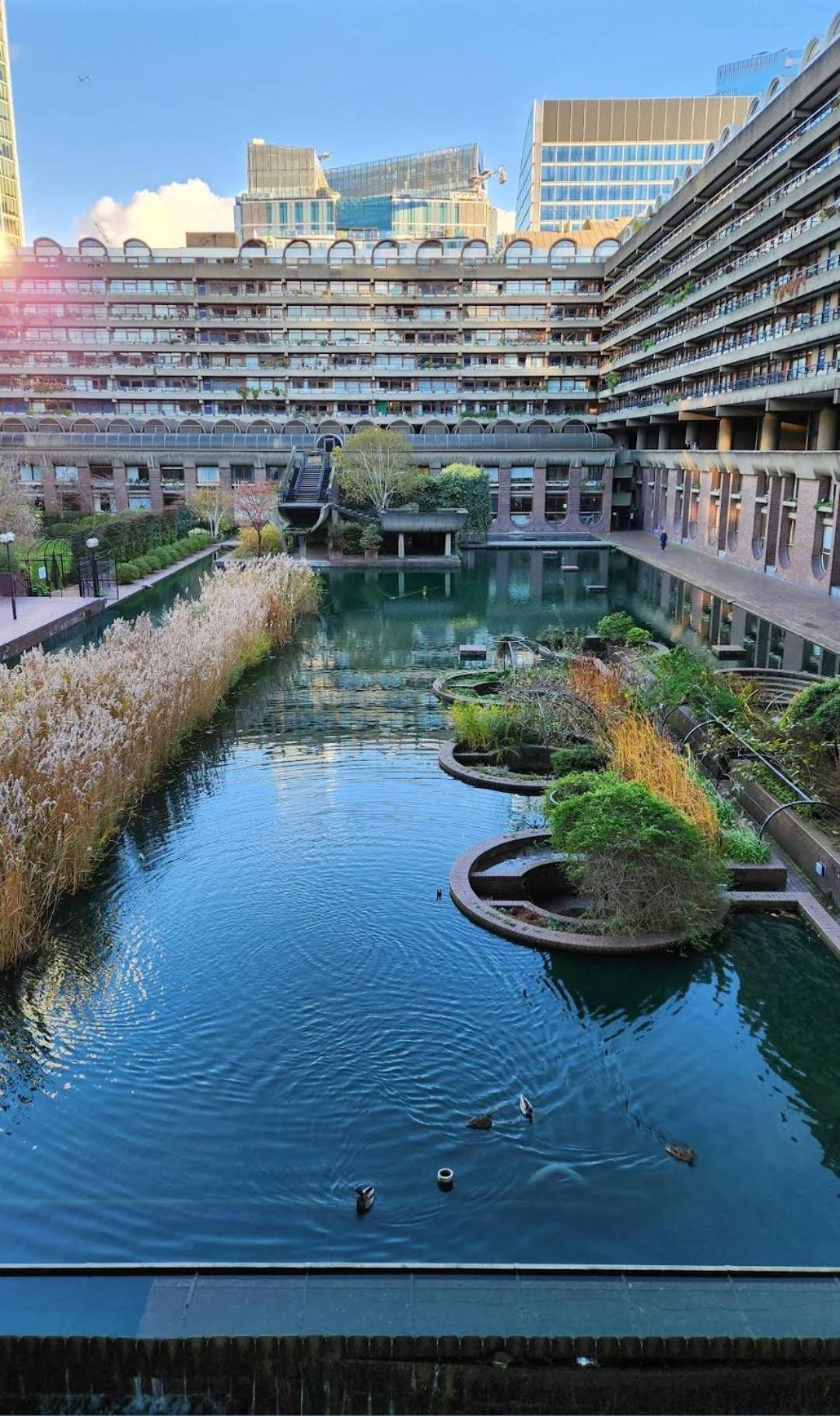 Alloggio in famiglia London, Private Londra